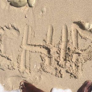 Meet your Posher, Chip